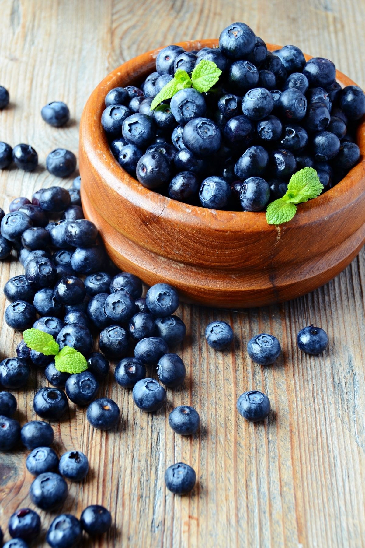 a bowl of blueberries.