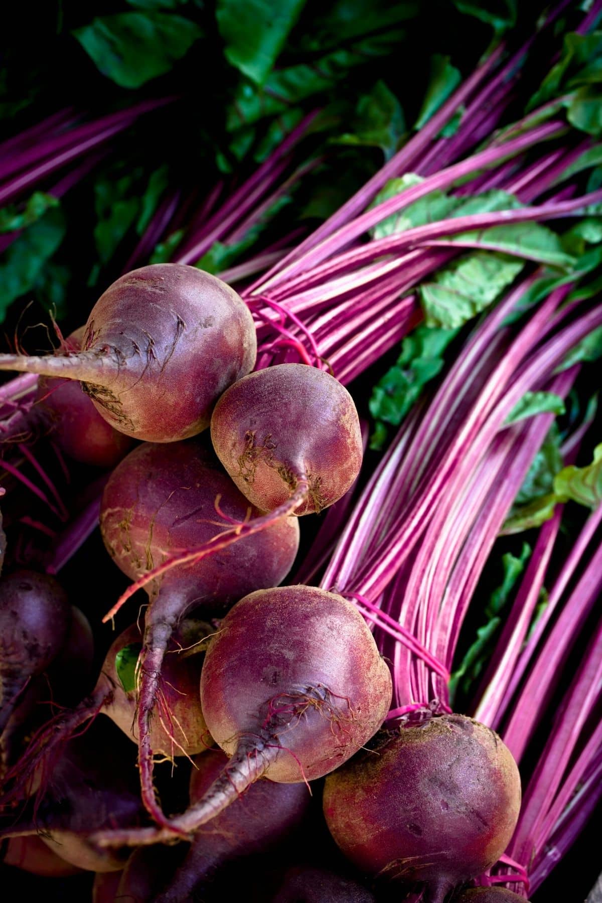 a bunch of raw beets