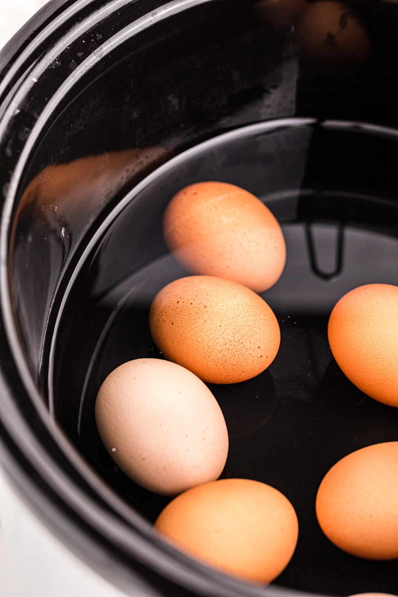 eggs inside a slow cooker