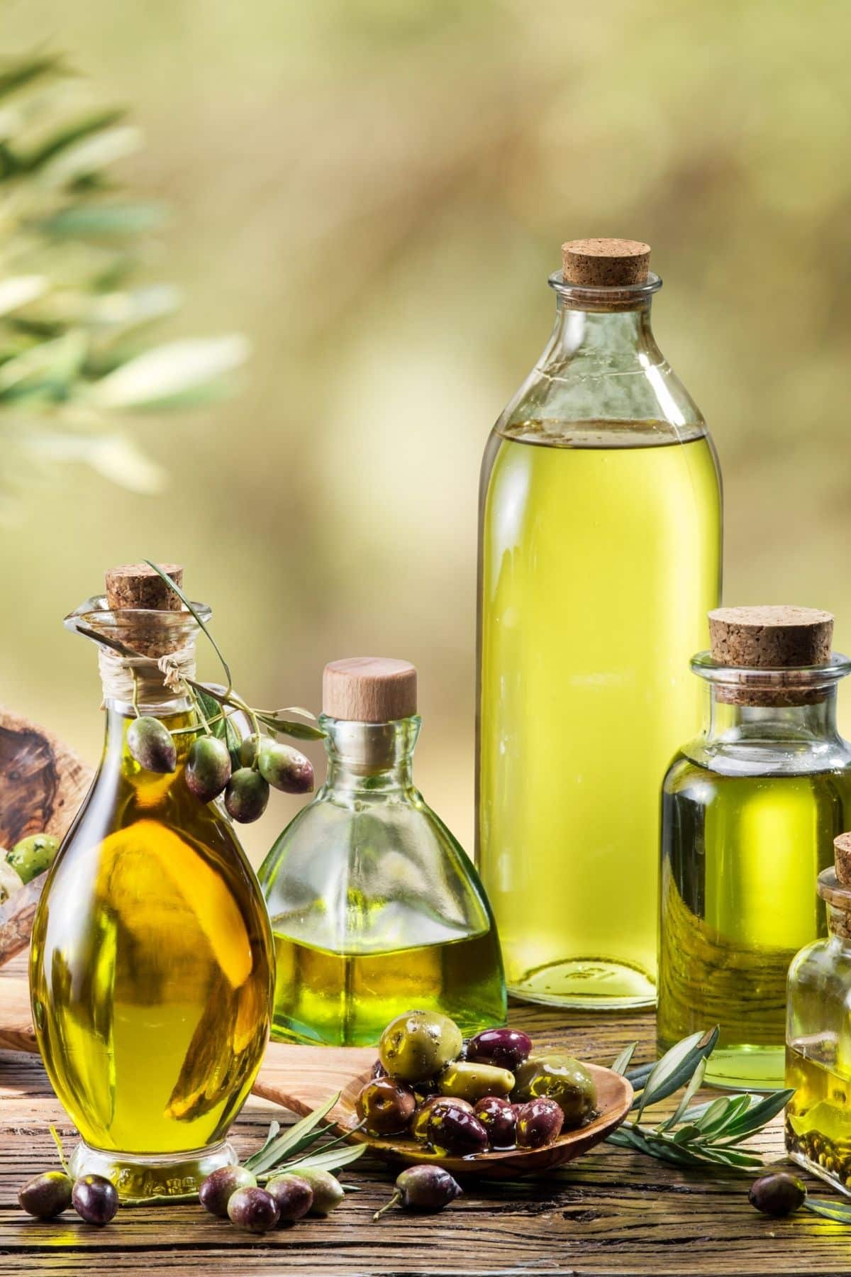 jars of olive oil