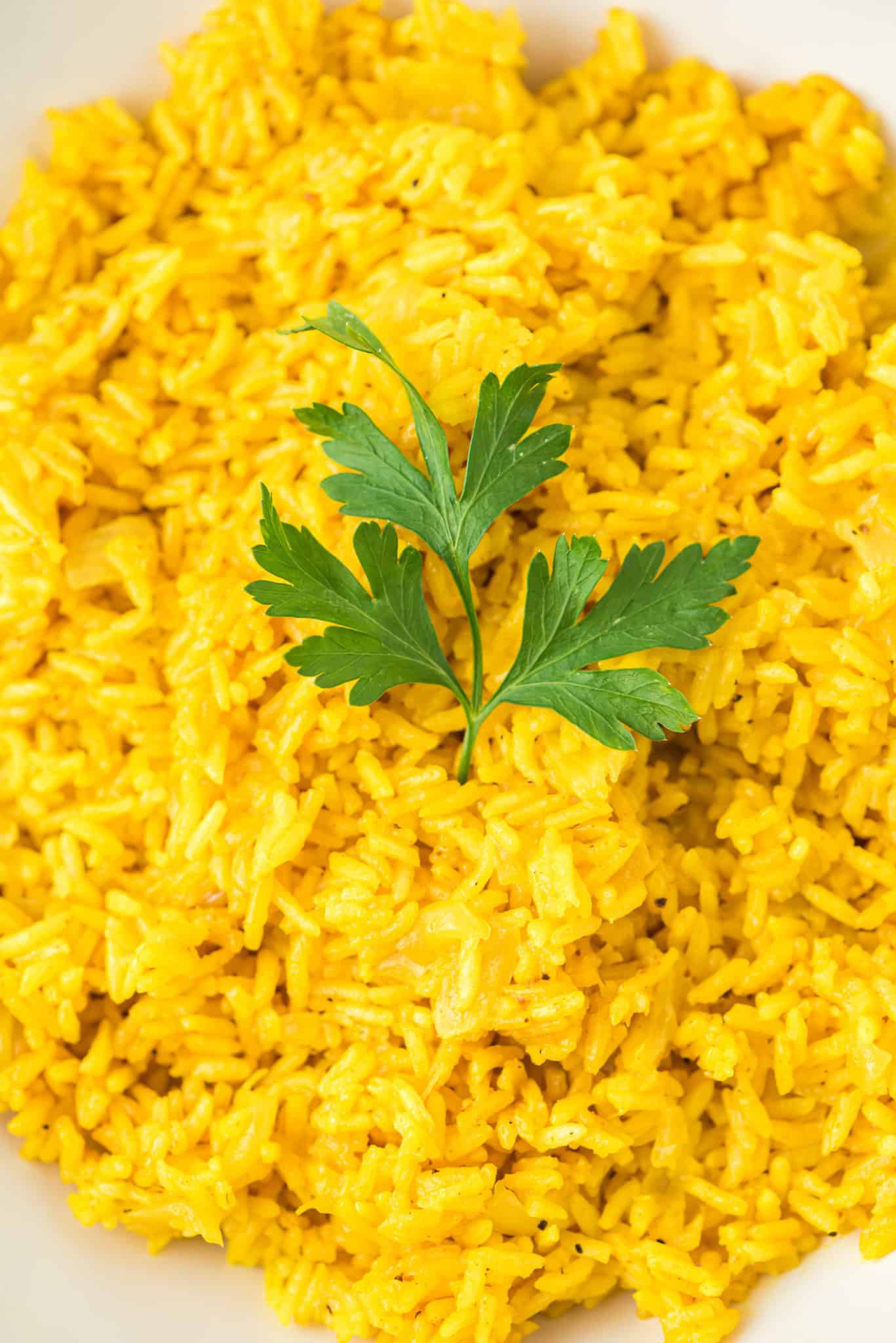texture of yellow rice