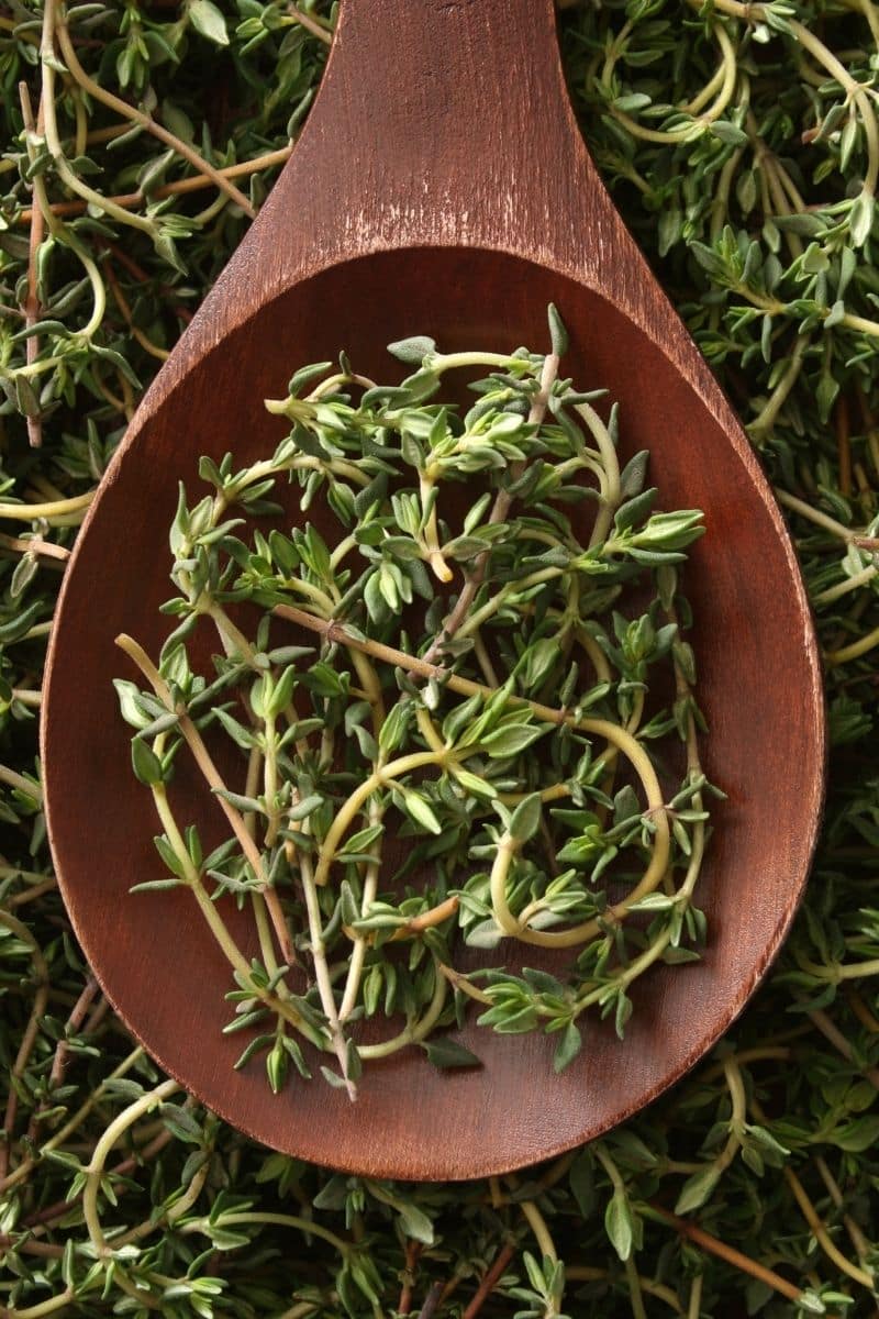 sprigs of fresh thyme in a wooden spoon.