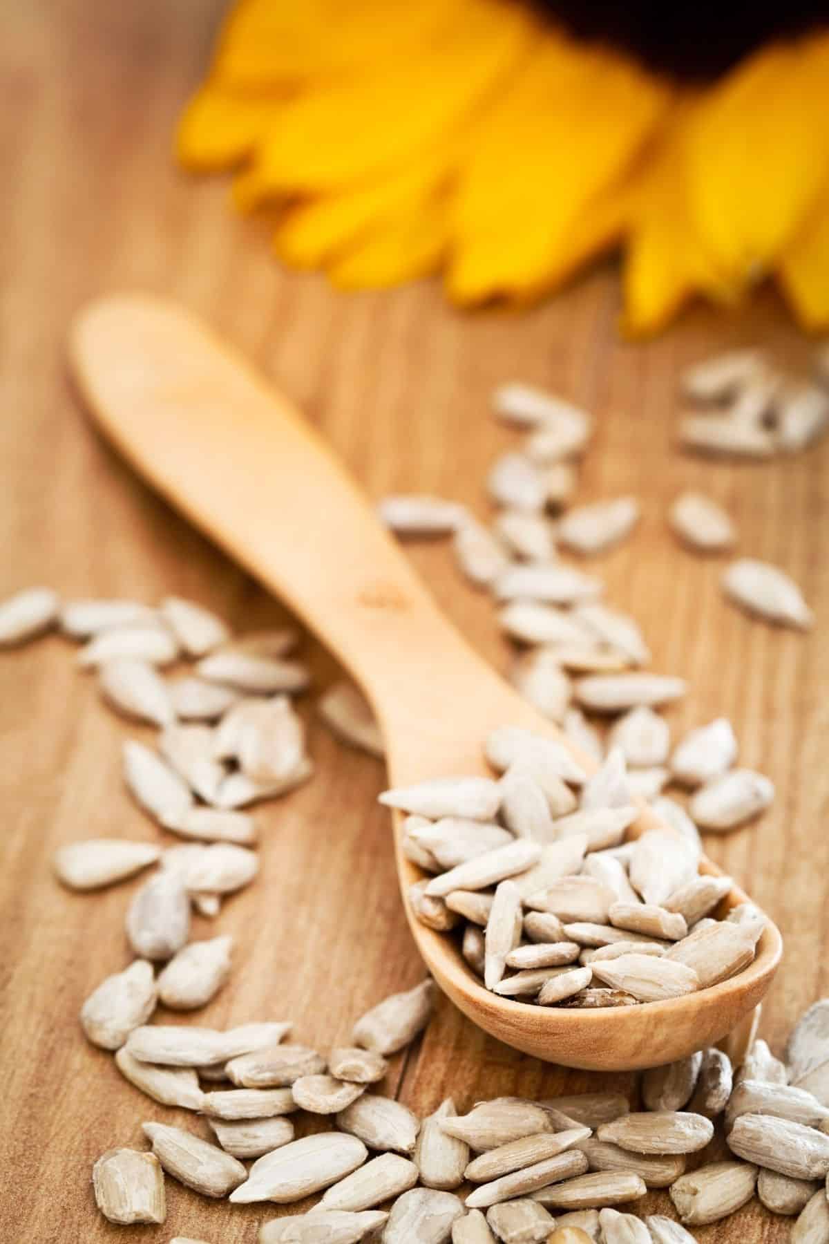wooden spoon of sunflower seeds on a table.