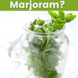 Marjoram in a jar with the best substitutes for marjoram