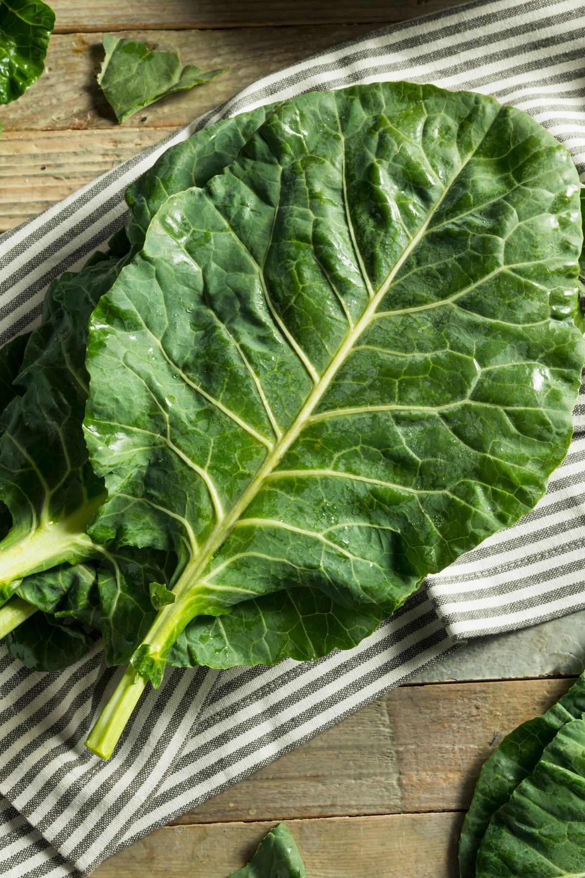 collard green leaves on a table with towel.