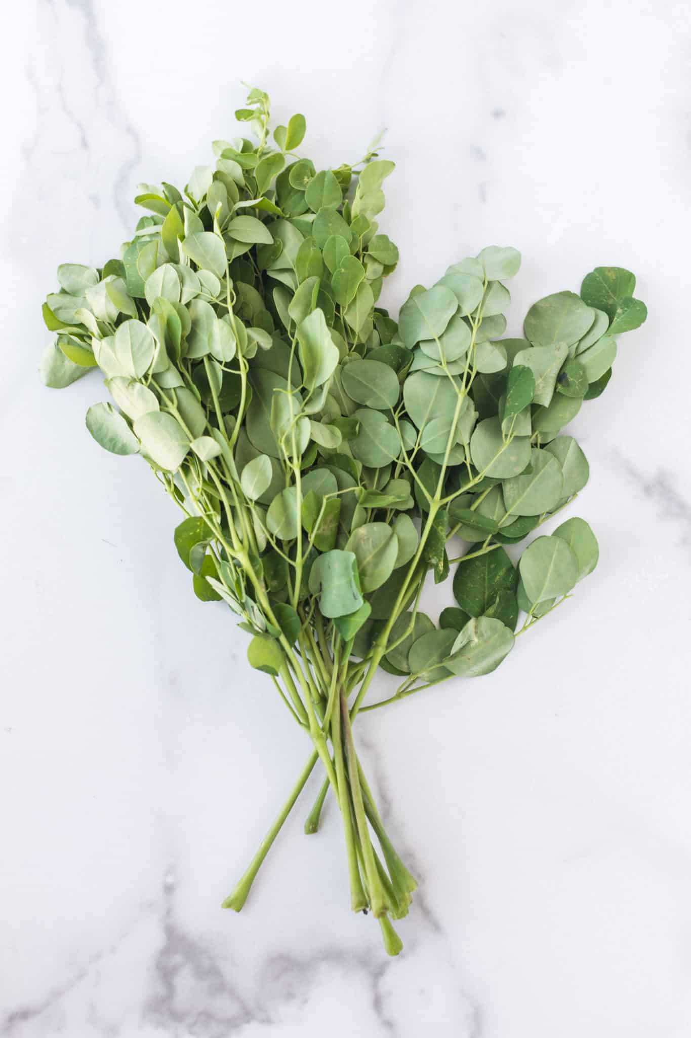 bunch of fresh moringa leaves.