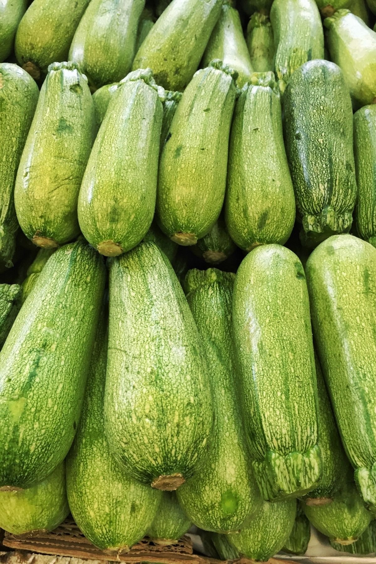 green zucchini stacked at a market.