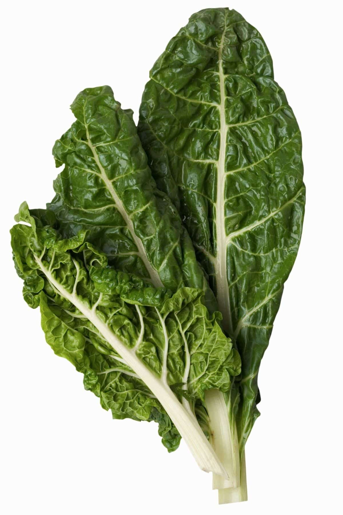 swiss chard on a table.