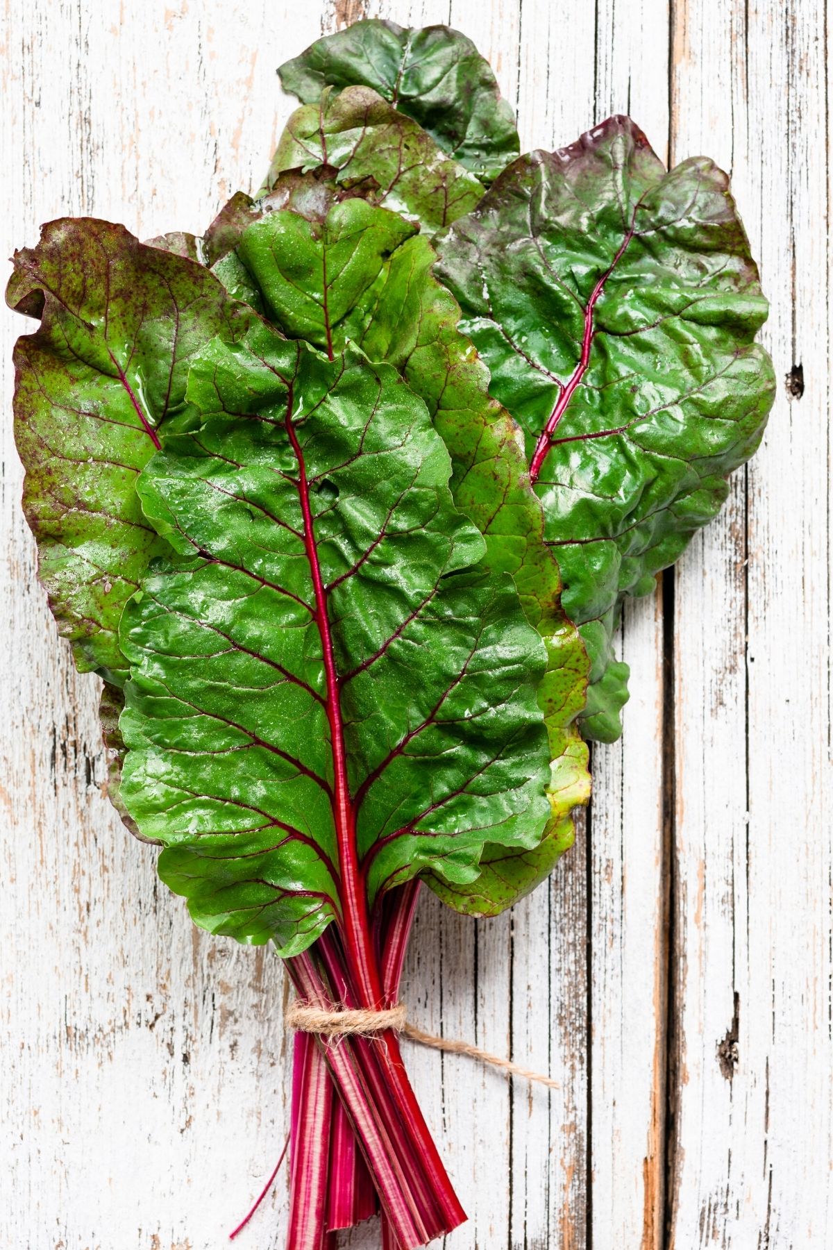 swiss chard on table.