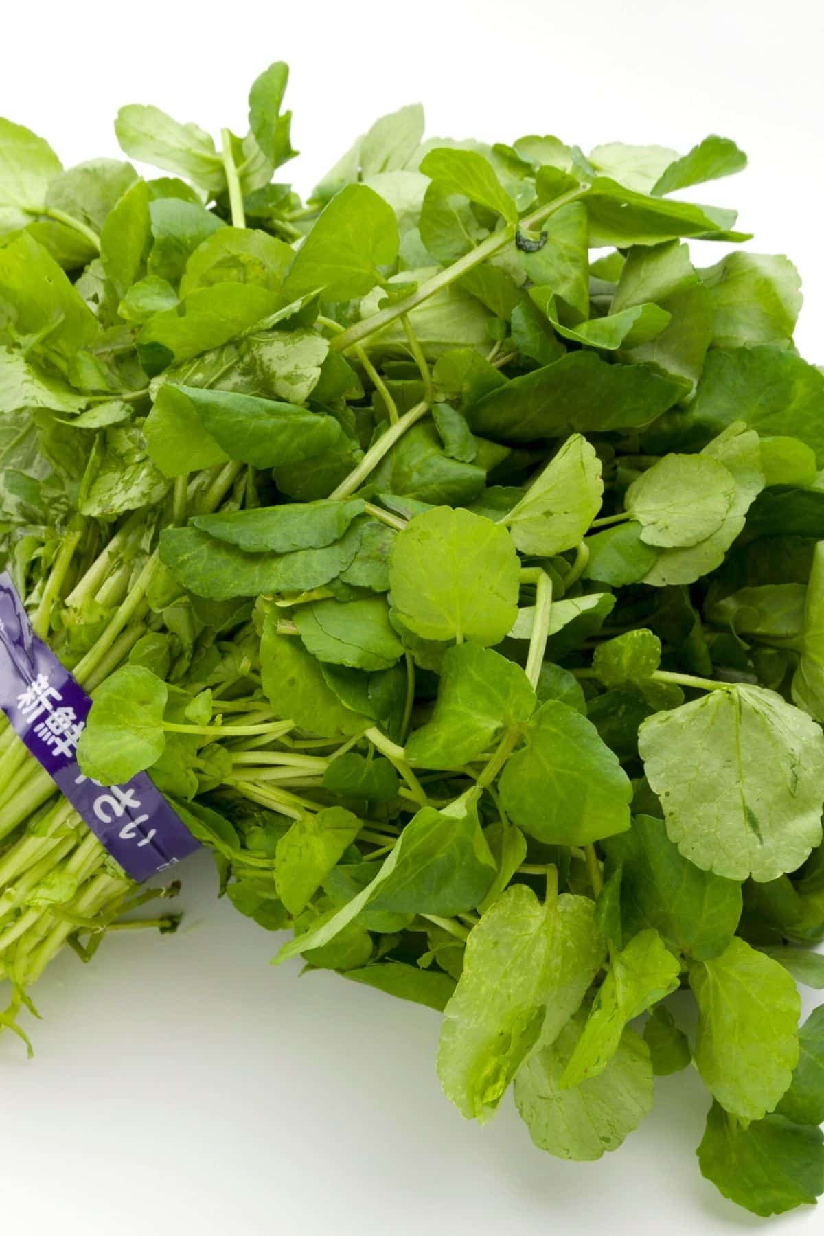 watercress on a white background.