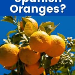 what are spanish oranges pin.