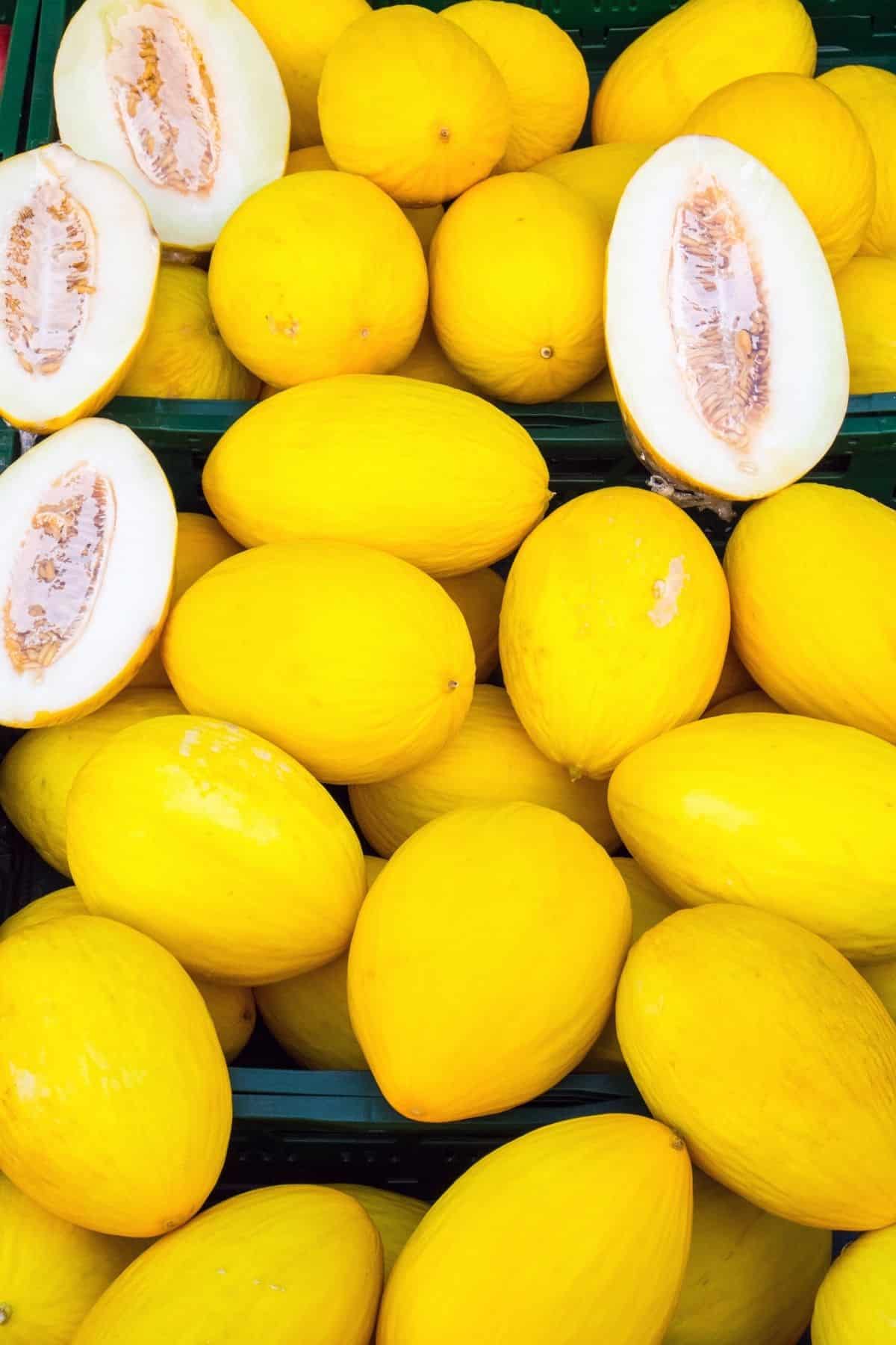 A pile of canary melons with 2 cut open.