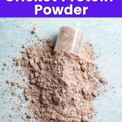 Protein powder with benefits of cricket protein powder.