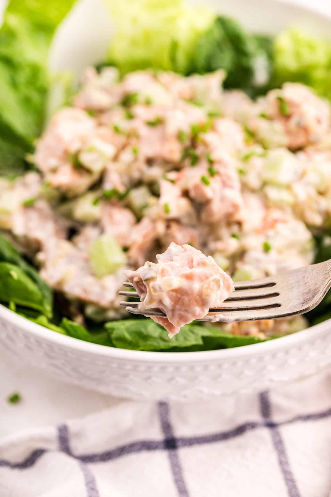 A fork holding a bite of salmon salad over a filled bowl.