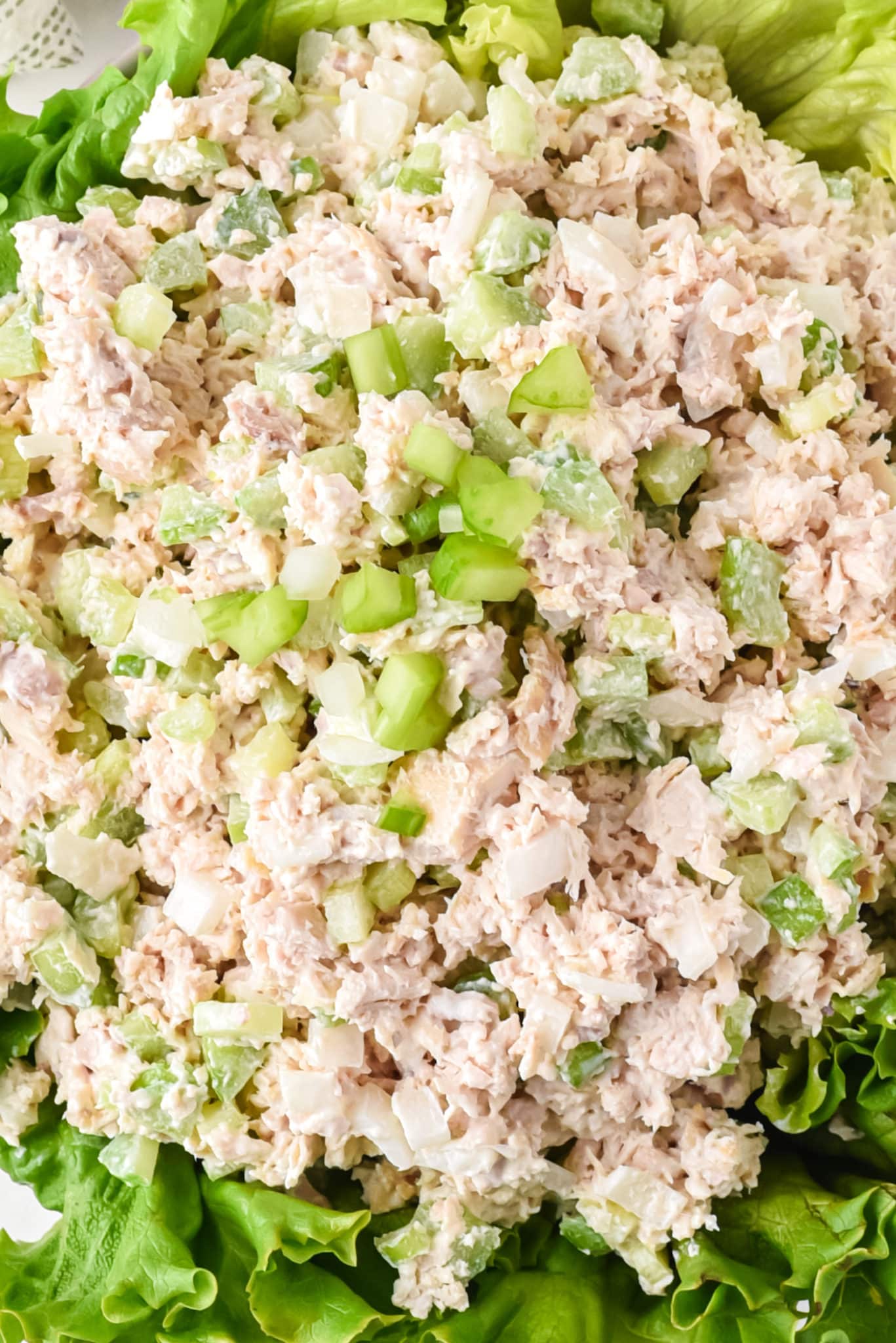 Close up of chicken salad over a bed of green lettuce.