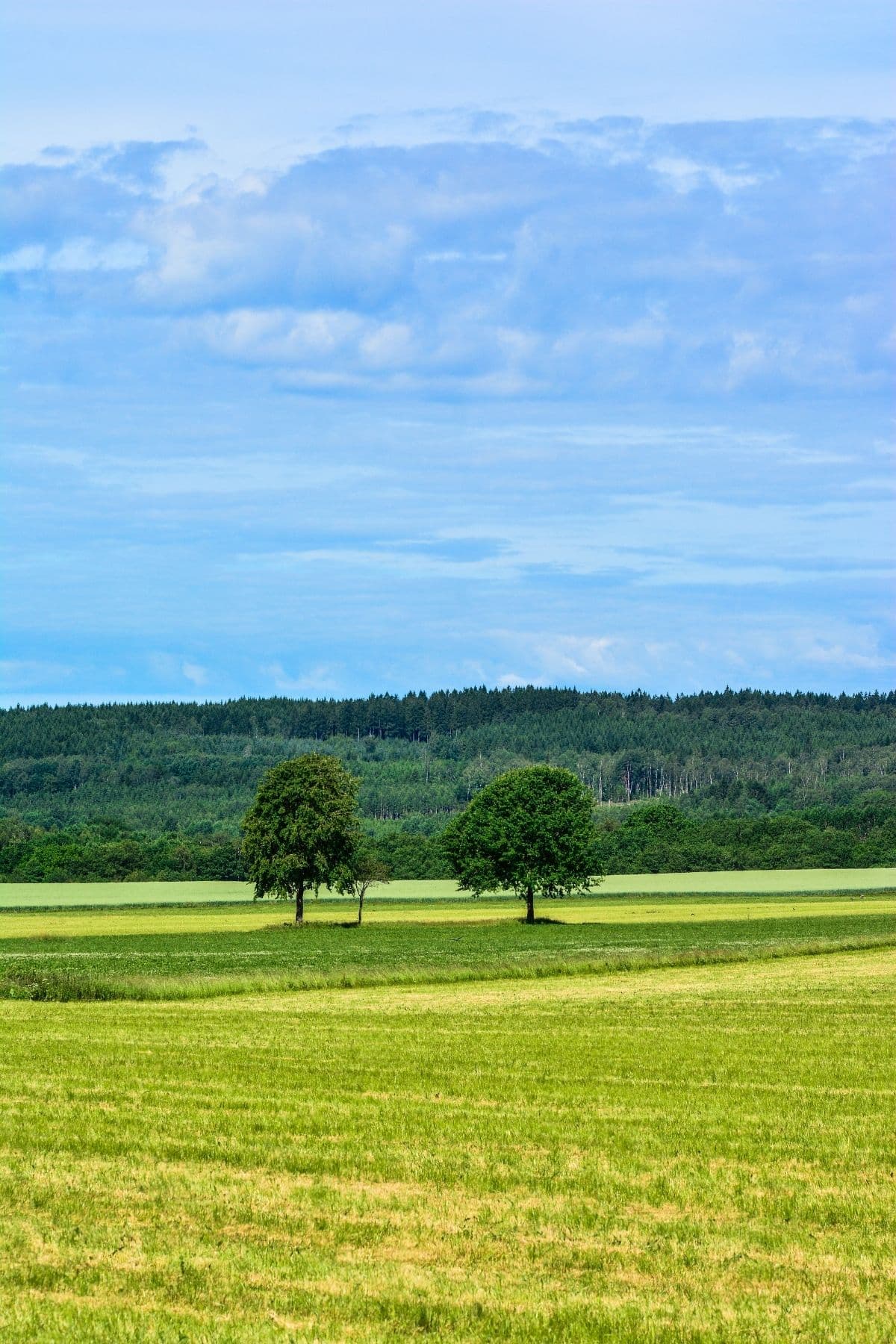 Country side with a blue sky above.