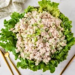 cropped-costco-chicken-salad-hero-scaled-1.jpg
