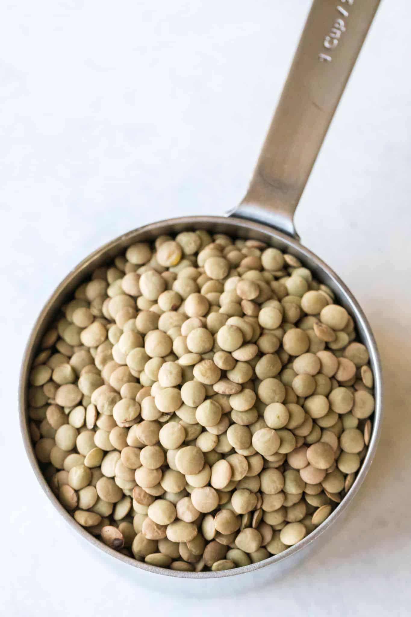 one cup of green lentils in a measuring cup.