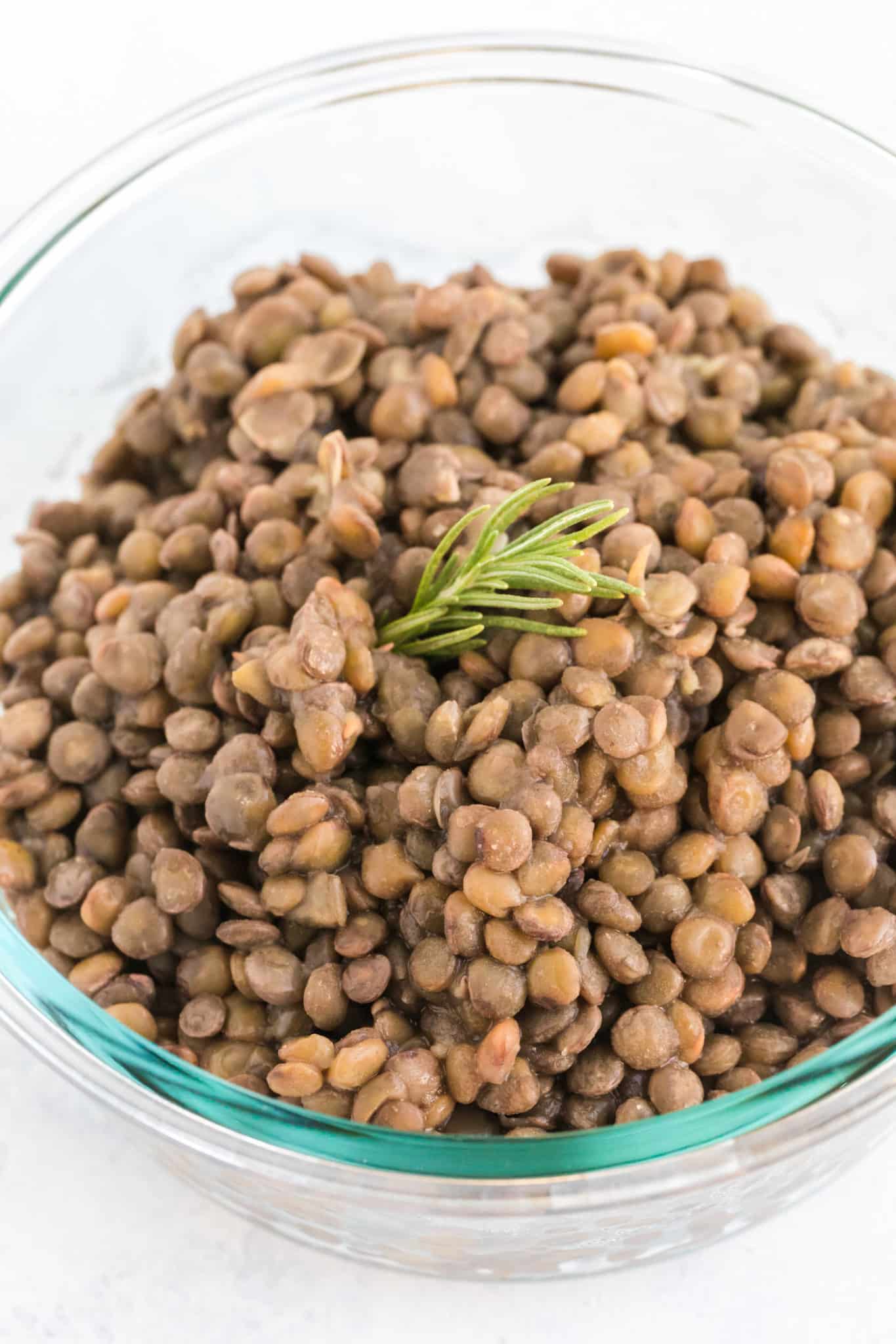 cooked instant pot brown lentils in a bowl.