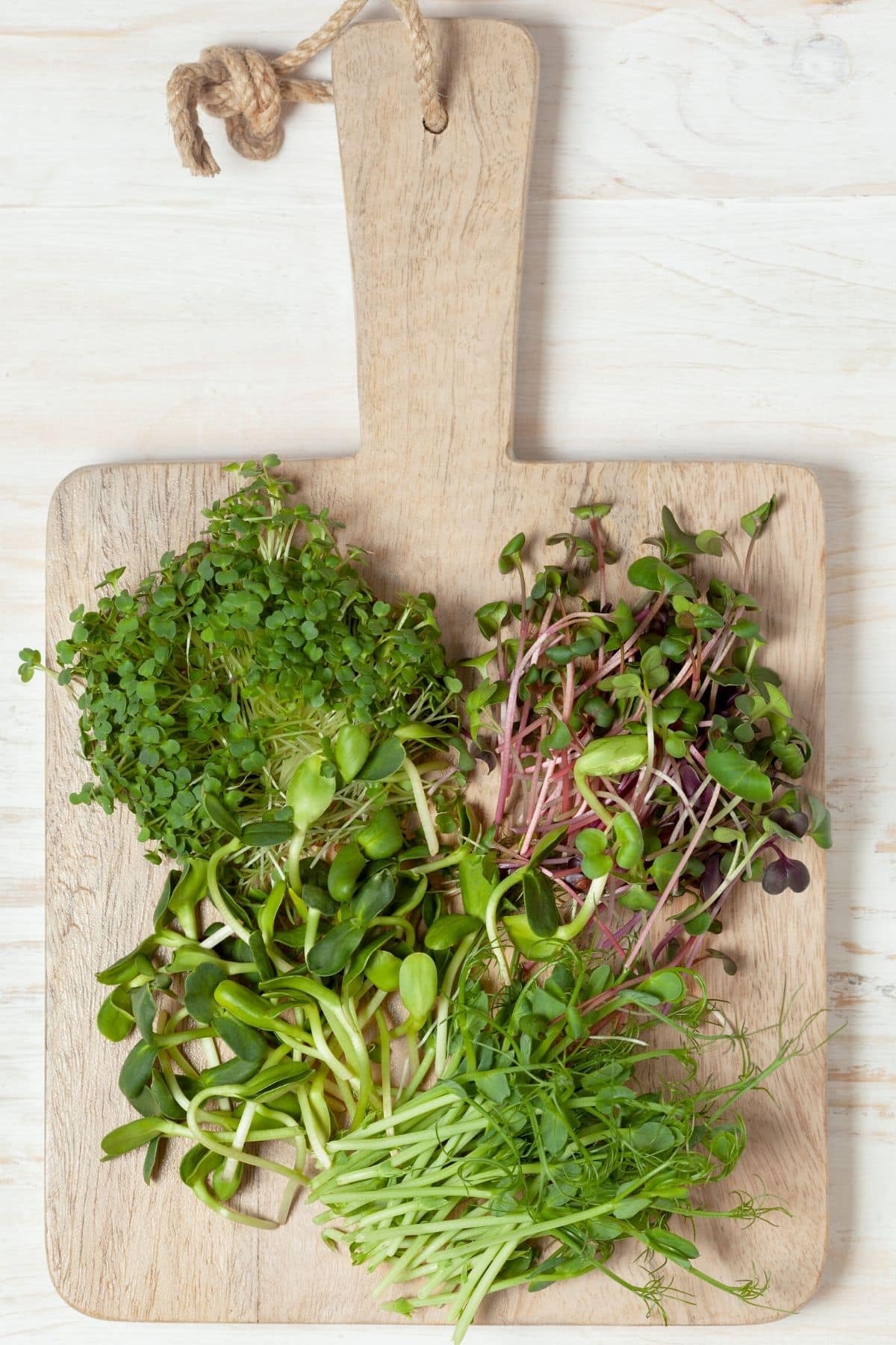 variety of sprouts and microgreens on a cutting board.