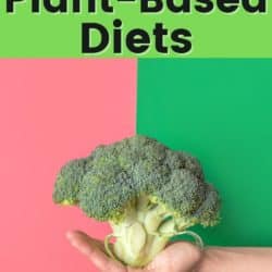 A hand holding broccoli with myths about plant-based diets.