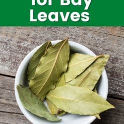 Bay Leaves with text best substitute for bay leaves.