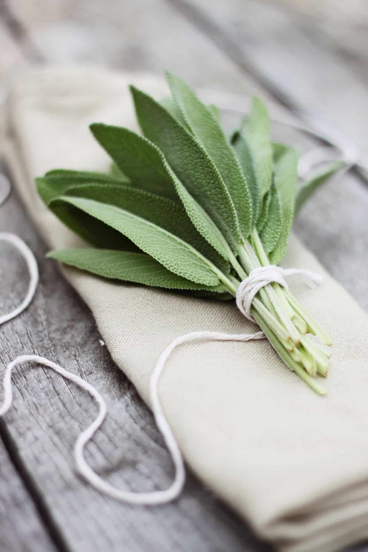 A sprig of fresh sage on a napkin.