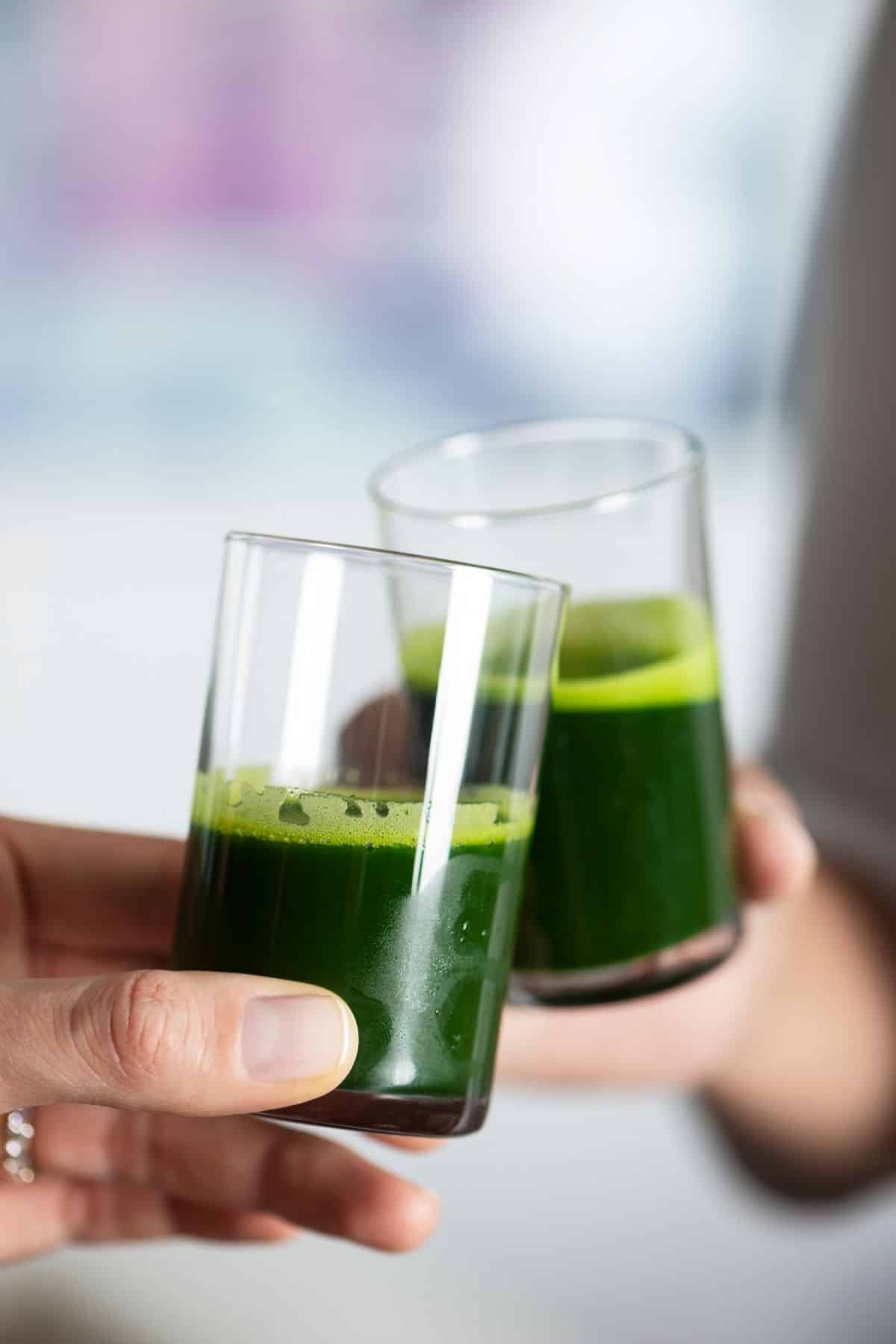 People clinking two shots of wheatgrass juice.