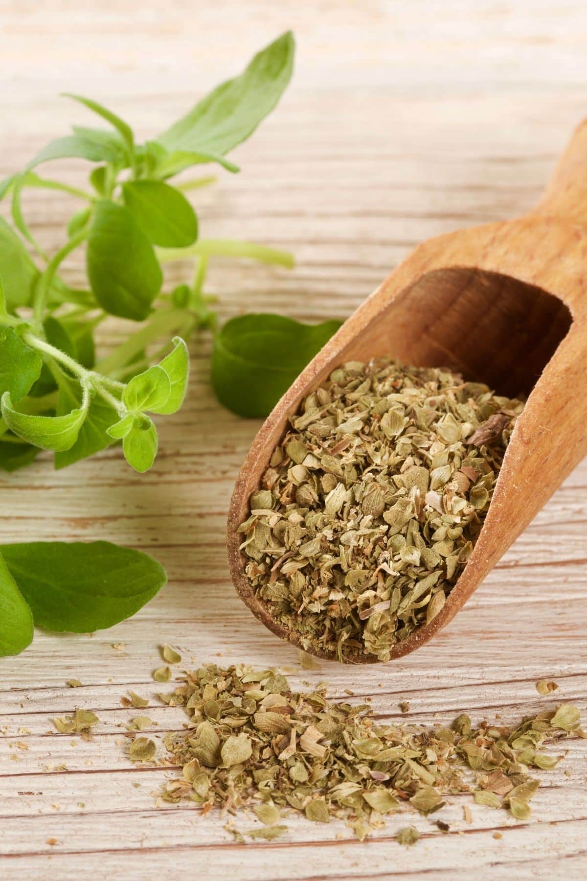 A wooden spoon with dried oregano in it.