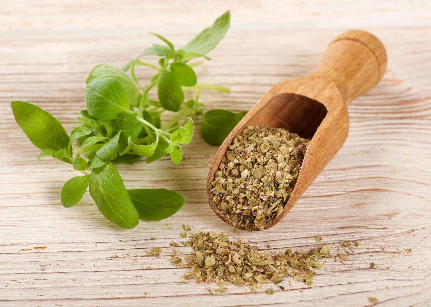 11 Simple Substitutes for Oregano (Fresh & Dried Options) Clean