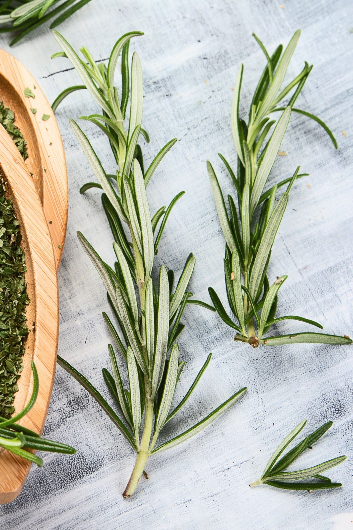 Fresh rosemary sprigs on a white surface.
