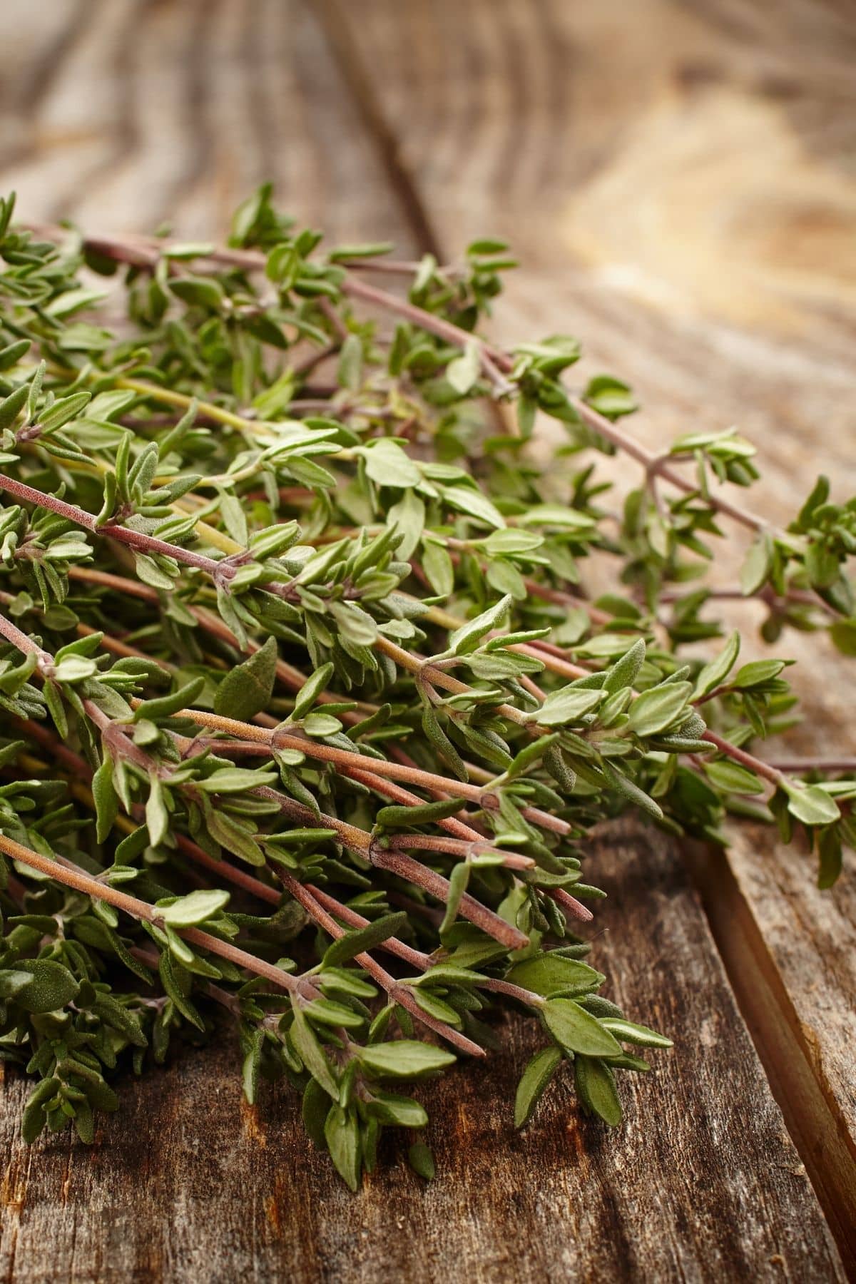 Fresh thyme sprigs on a wooden surface.