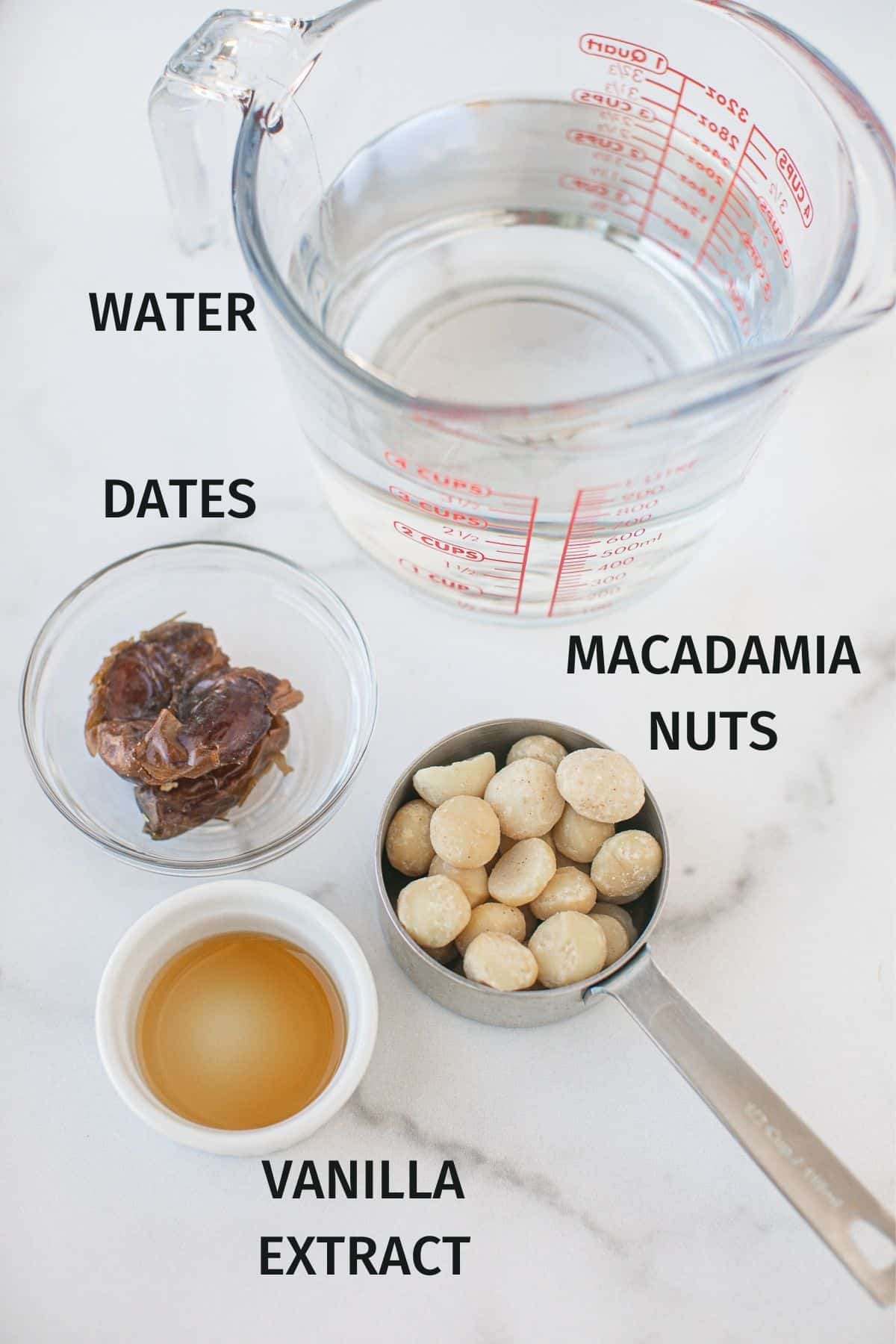 ingredients for macadamia milk recipe.