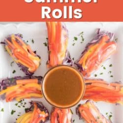 Veggie summer rolls on a platter with a bowl of peanut sauce.