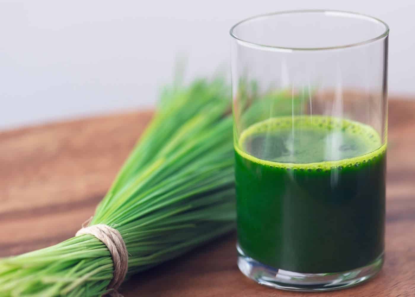 Best Wheatgrass Juicers for 2025 (Types and Models) Clean Eating Kitchen