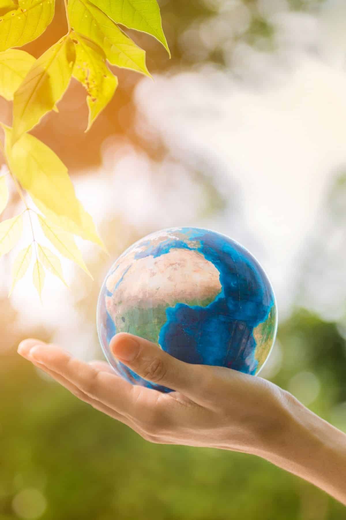 A hand holding the earth in the outdoors.