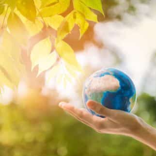 A hand holding a globe in front of tree leaves.