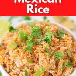 instant pot mexican rice pin.