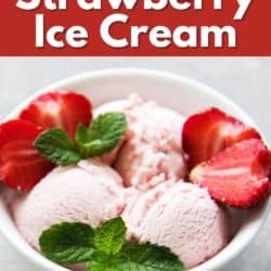 vegan strawberry ice cream pin.
