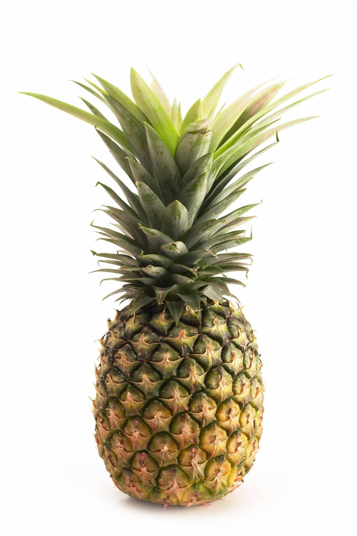 A fresh whole pineapple on a white background.