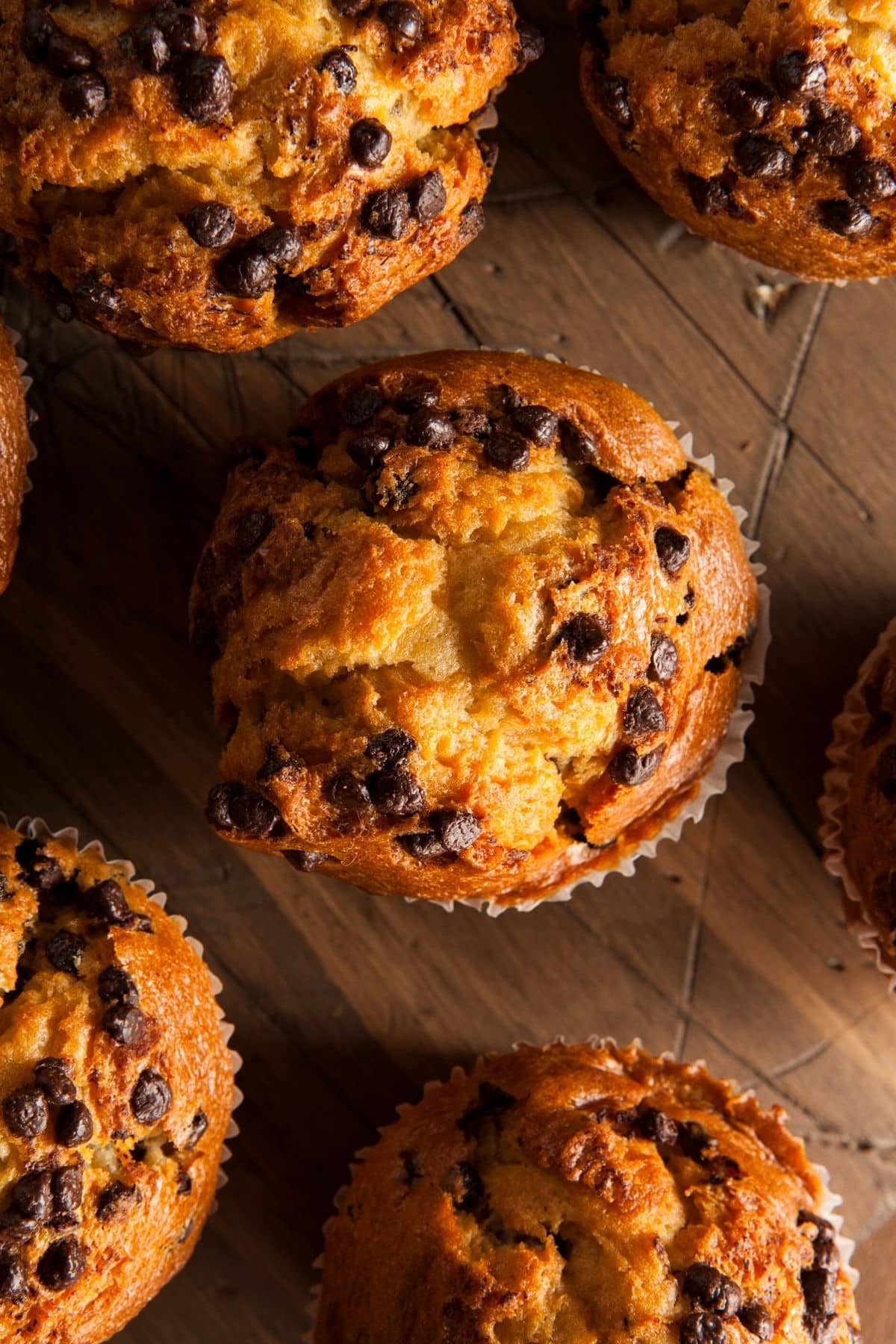 chocolate chip muffins shot overhead.