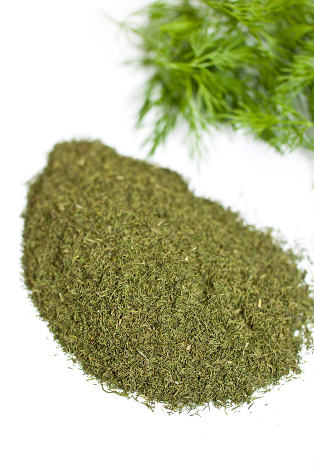 Mound of dried dill spices beside fresh dill leaves.