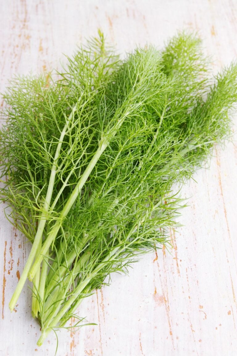 7 Substitutes for Fresh Dill (& How Much to Use) Clean Eating Kitchen