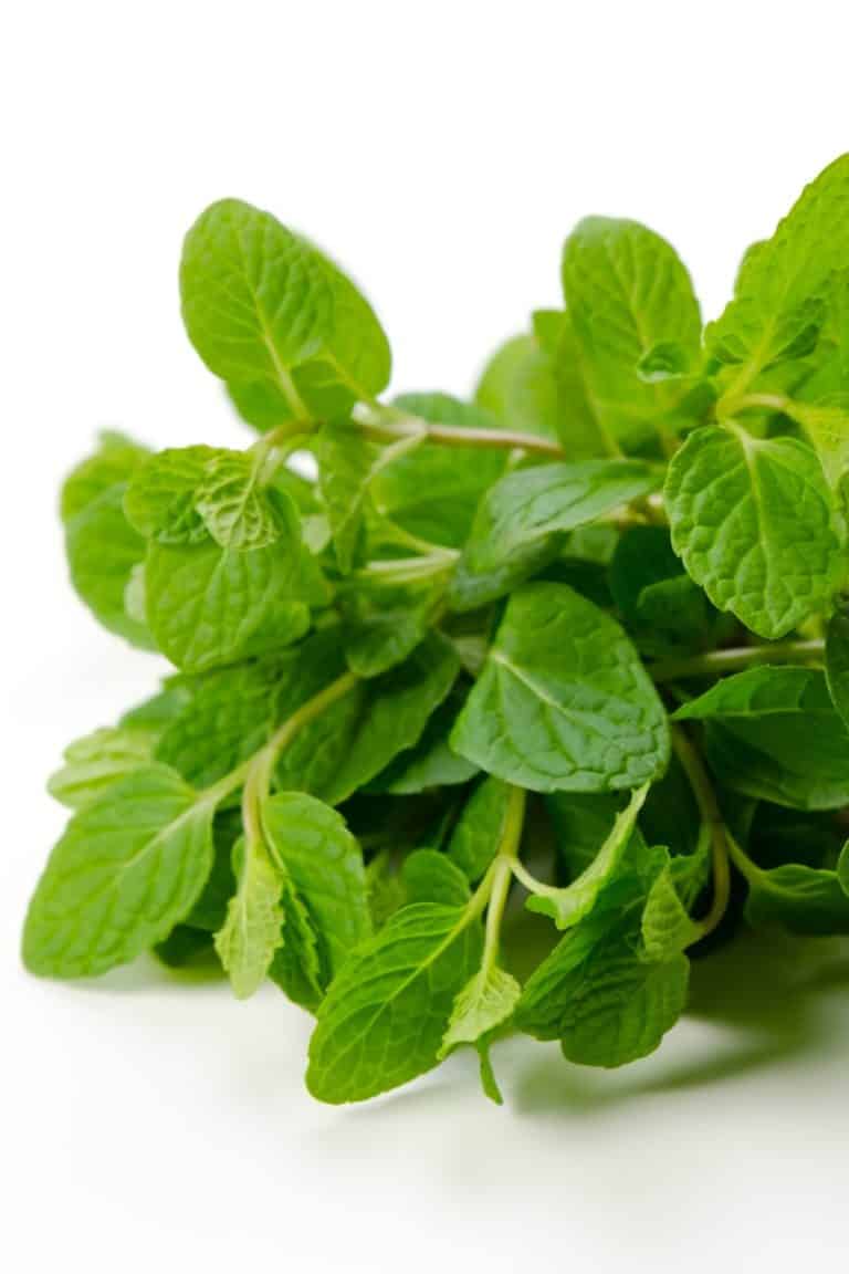 22+ Vegetables for Juicing (& Which to Avoid) Clean Eating Kitchen