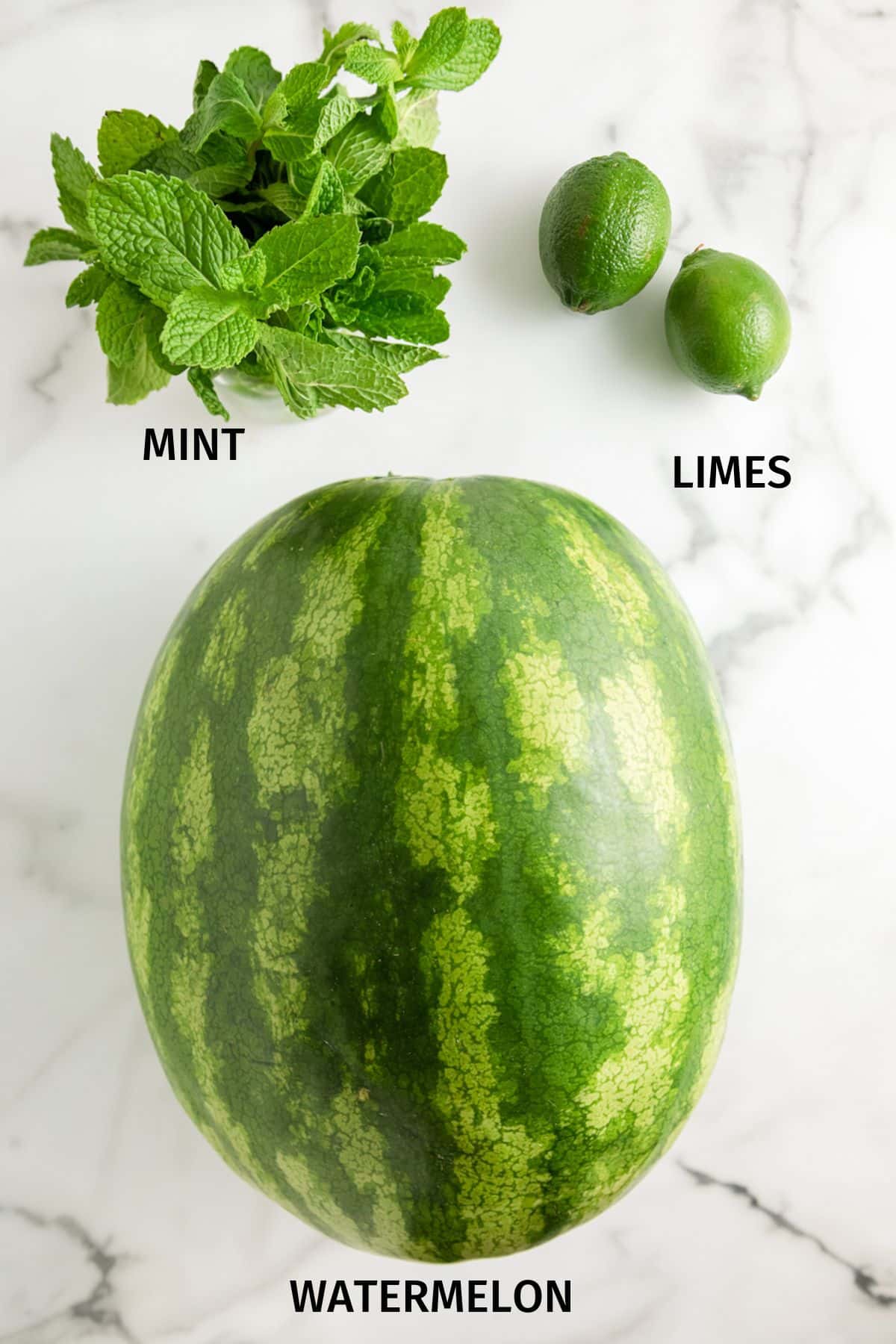 ingredients for making watermelon mint juice.