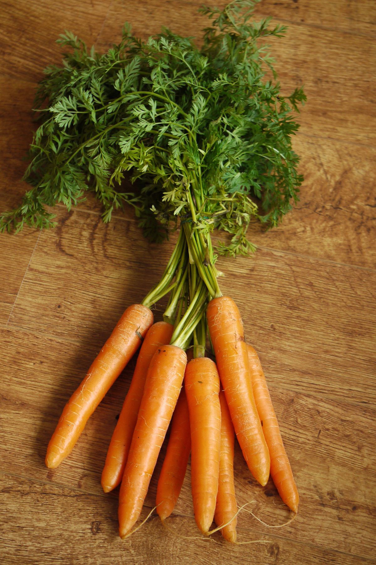 A bunch of small carrots with greens on a wooden table.