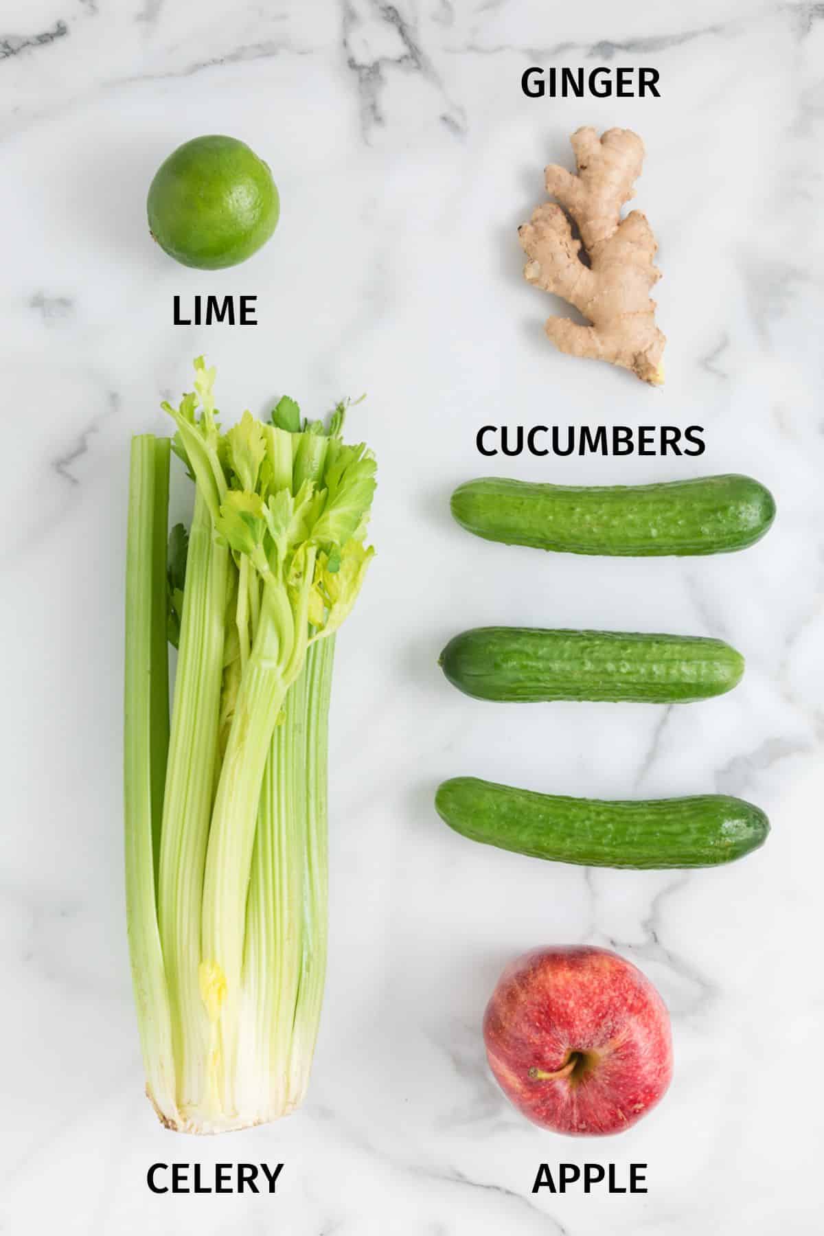 Ingredients to make cucumber celery juice on a white surface.