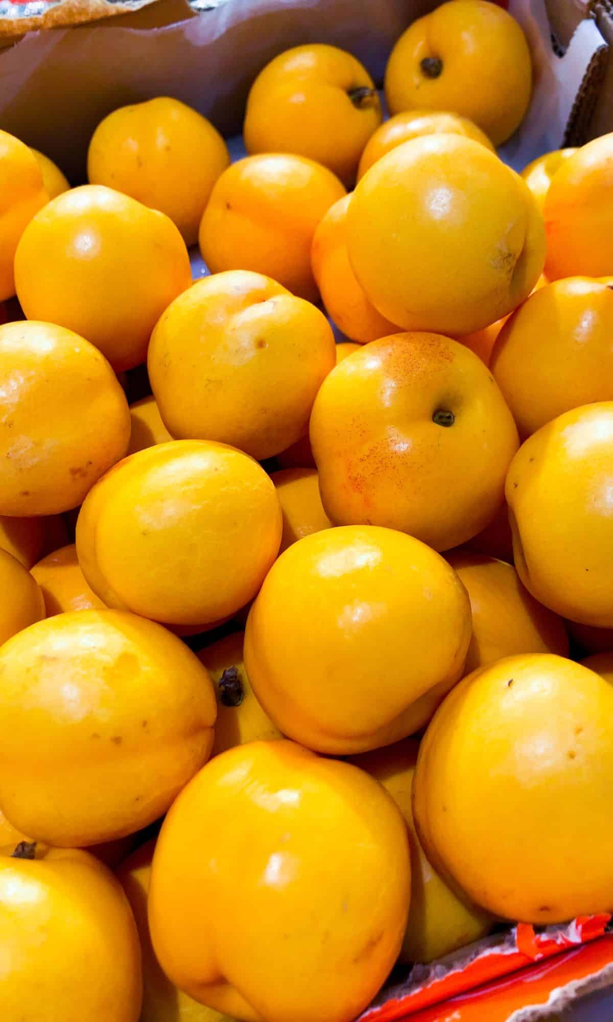 A bunch of orange Nectacot fruits in a pile.