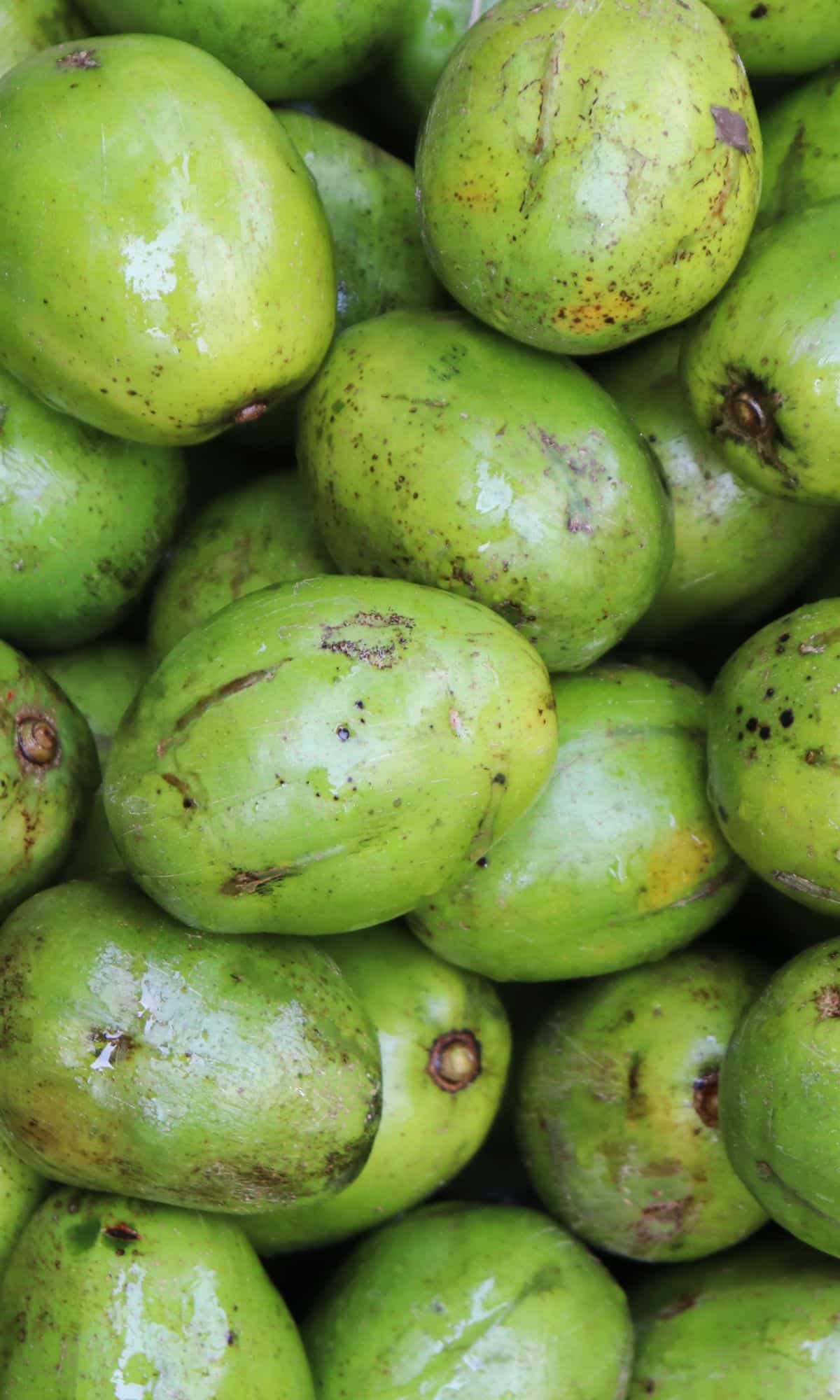 A bunch of green Nepali Hog Plum fruits in a pile.