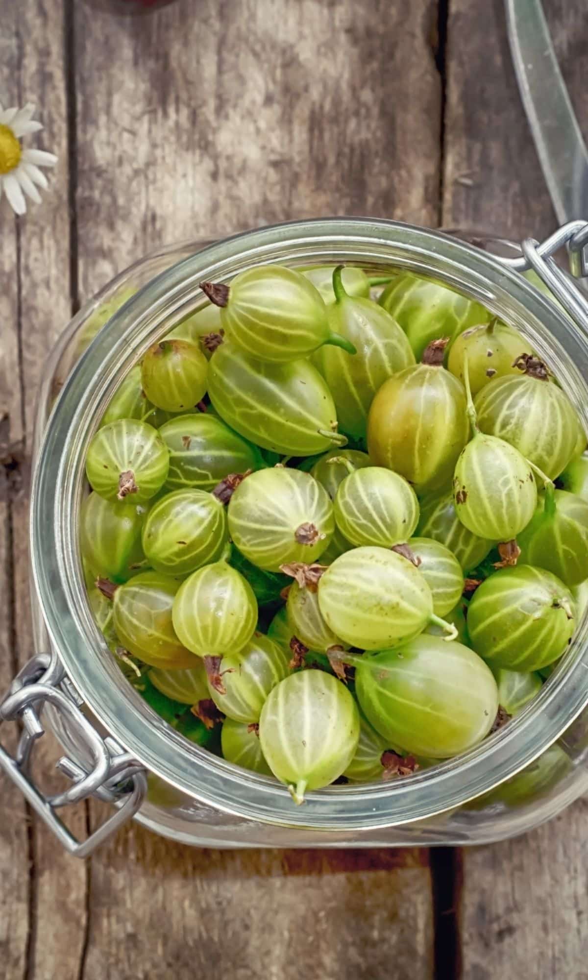 A clear jar full of gooseberries on a wooden table.